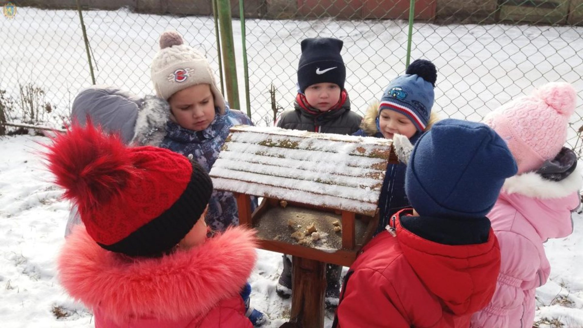 На Львівщині стартував флешмоб #ягодуюптахів