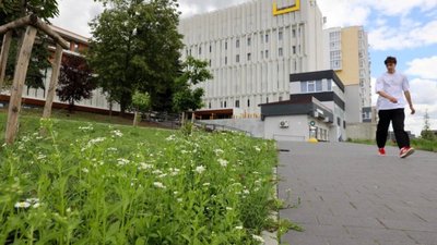 У Львові облаштують різнотравну ділянку (ФОТО)