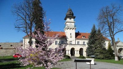 У Жовкві зацвіла сакура