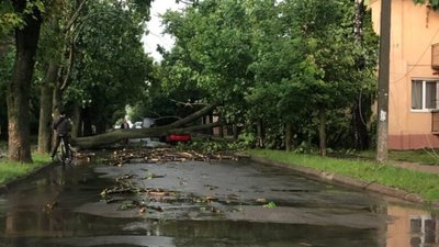 У Львові перекрили рух на вулиці Стефаника (ФОТО)