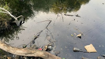 У Львові виявили забруднення озер у районі вулиць Рахівська – Райдужна