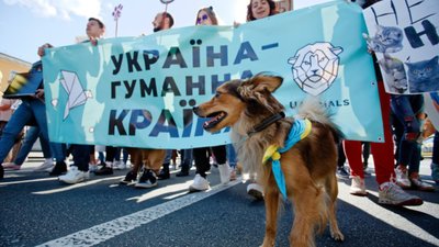У Львові зоозахисники пройдуться маршем на захист чотирилапих