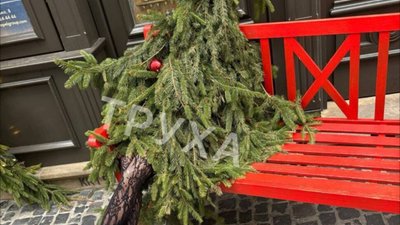 У Львові встановили сексуальну ялинку