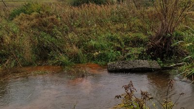 «Львівводоканал» забруднює річку Думний Потік (ФОТО)