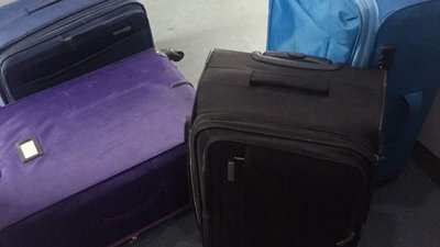 На кордоні чотирилапий помічник прикордонників завадив перемістити сигарети поїздом