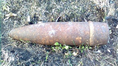 На Яворівщині під час збирання грибів натрапили на небезпечні знахідки