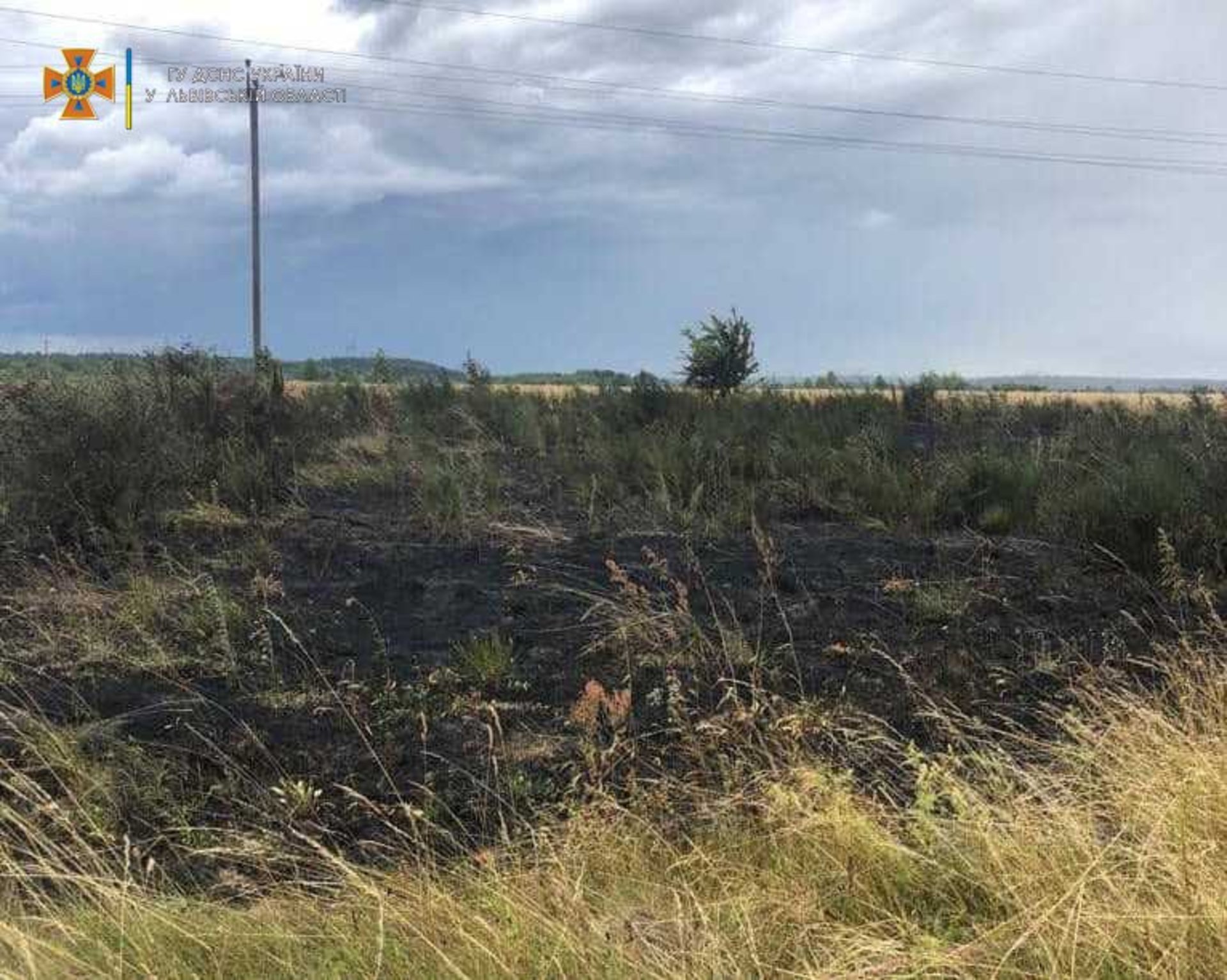 На Львівщині горіла суха трава та чагарники