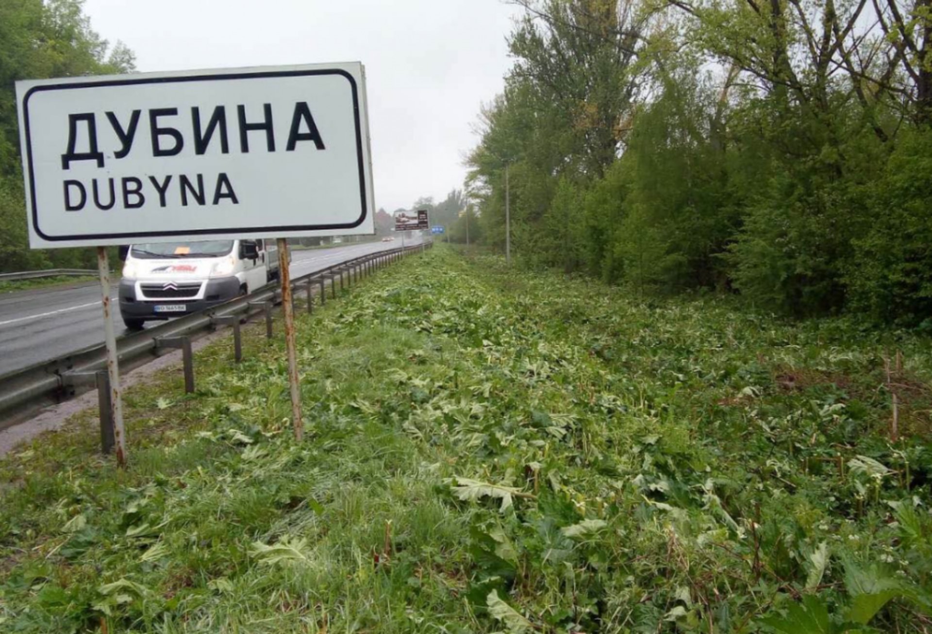 Фото: САД у Львівській області