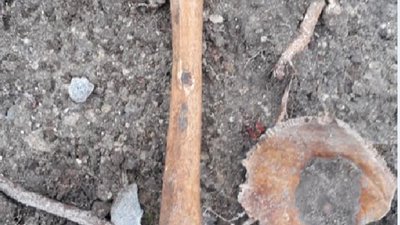 У Львові біля військового госпіталю виявили людські рештки (ФОТО)