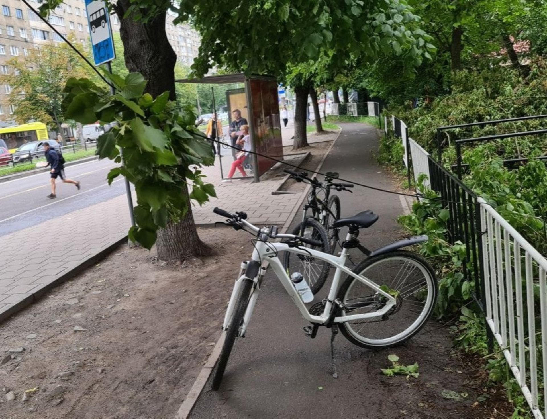 У Львові на велодоріжці травмувалось двоє осіб, фото ГЛМЛ