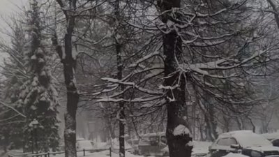 У центрі Львова загруз тролейбус (ВІДЕО)