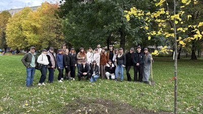 У Львові на Стрийській висадили липи