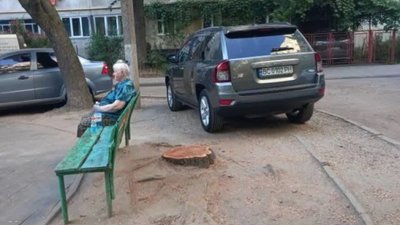 У Львові зрізали дерево для паркування автомобіля на дитячому майданчику