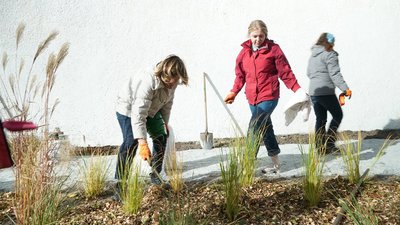 У Львові створять природоорієнтований простір (ФОТО)