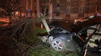 У центрі Львова 22-річний чоловік влетів у дерево