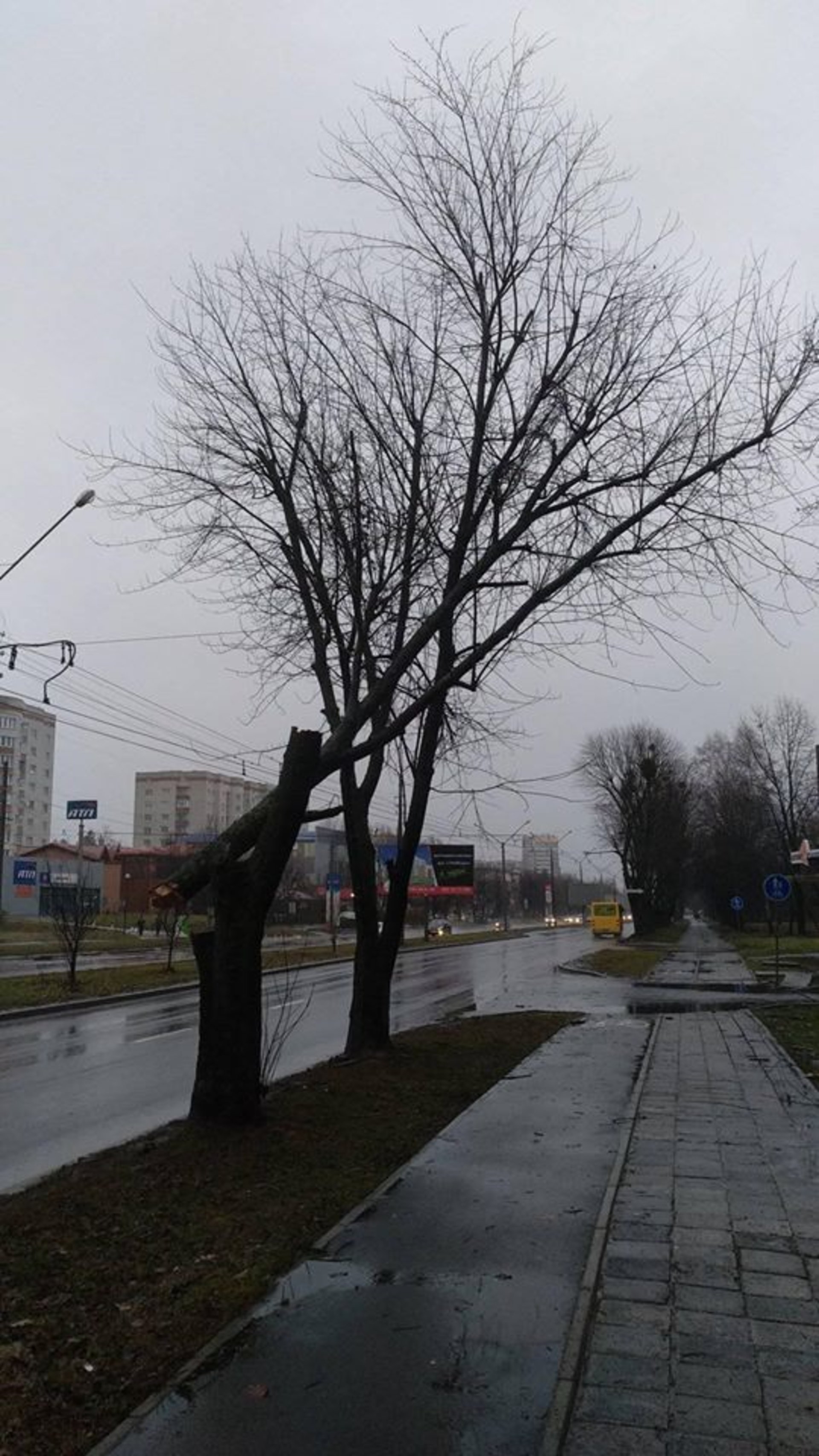 Фото: ФБ/Гаряча лінія міста Львова