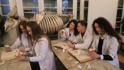 Львівський національний університет ветеринарної медицини розшукує викладачів