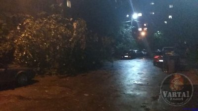 На Княгині Ольги дерево частково перекрило рух транспорту (ФОТО)