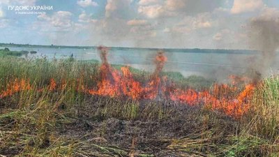 На Львівщині горіли чагарники (ФОТО)