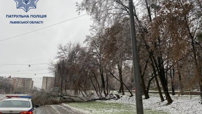 Через мокрий сніг у Львові не курсують трамваї та тролейбуси