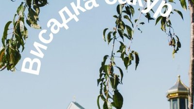 На Львівщині відбудеться масштабна висадка іменних сакур