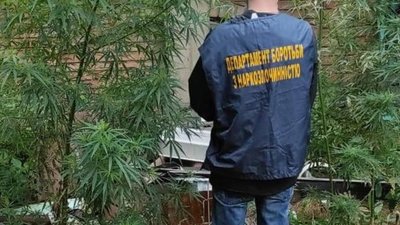 39-річний мешканець Бродів продавав канабіс та амфетамін