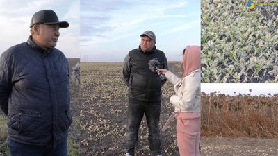 На Львівщині агрофірма знищила посіви сусідніх фермерів (ВІДЕО)