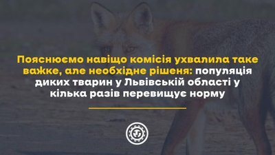 На Львівщині виникла загроза спалахів сказу та африканської чуми свиней