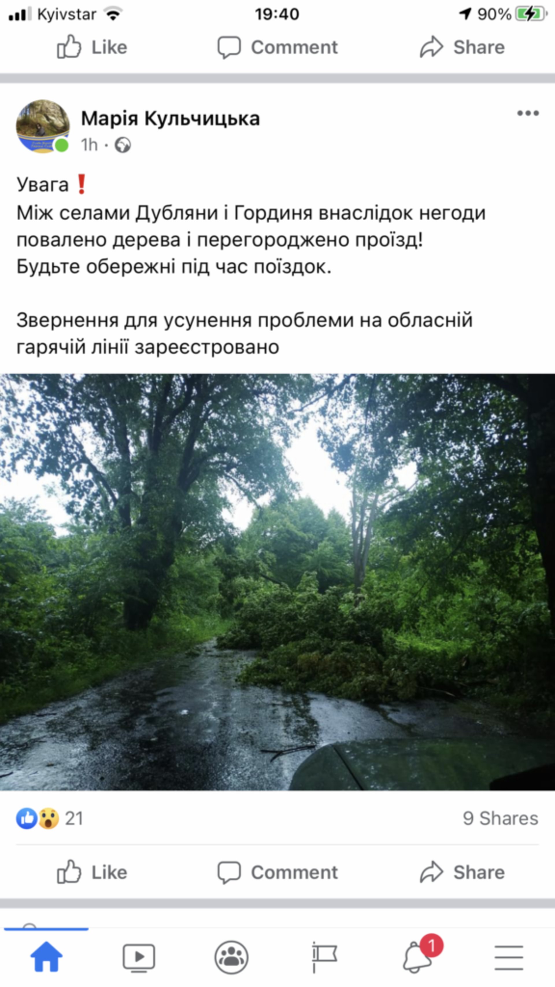 На Львівщині негода повалила дерева, скрін допису із ФБ