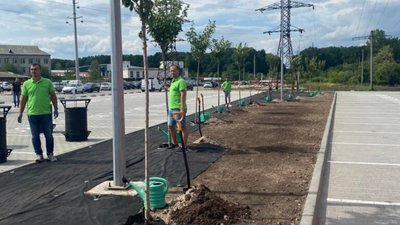 У Львові висадили міжнародну алею співдружності (ФОТО, ВІДЕО)