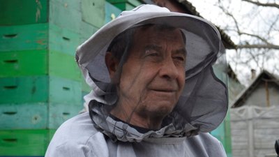 В Україні масово гинуть медоносні родини бджіл (ВІДЕО)