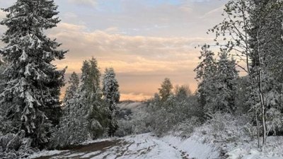 На Львівщині лежить сніг