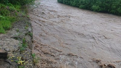 На п’яти пляжах Києва знайшли кишкову паличку