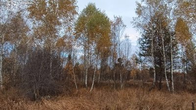 На Львівщині хотіли знищити природний заказник