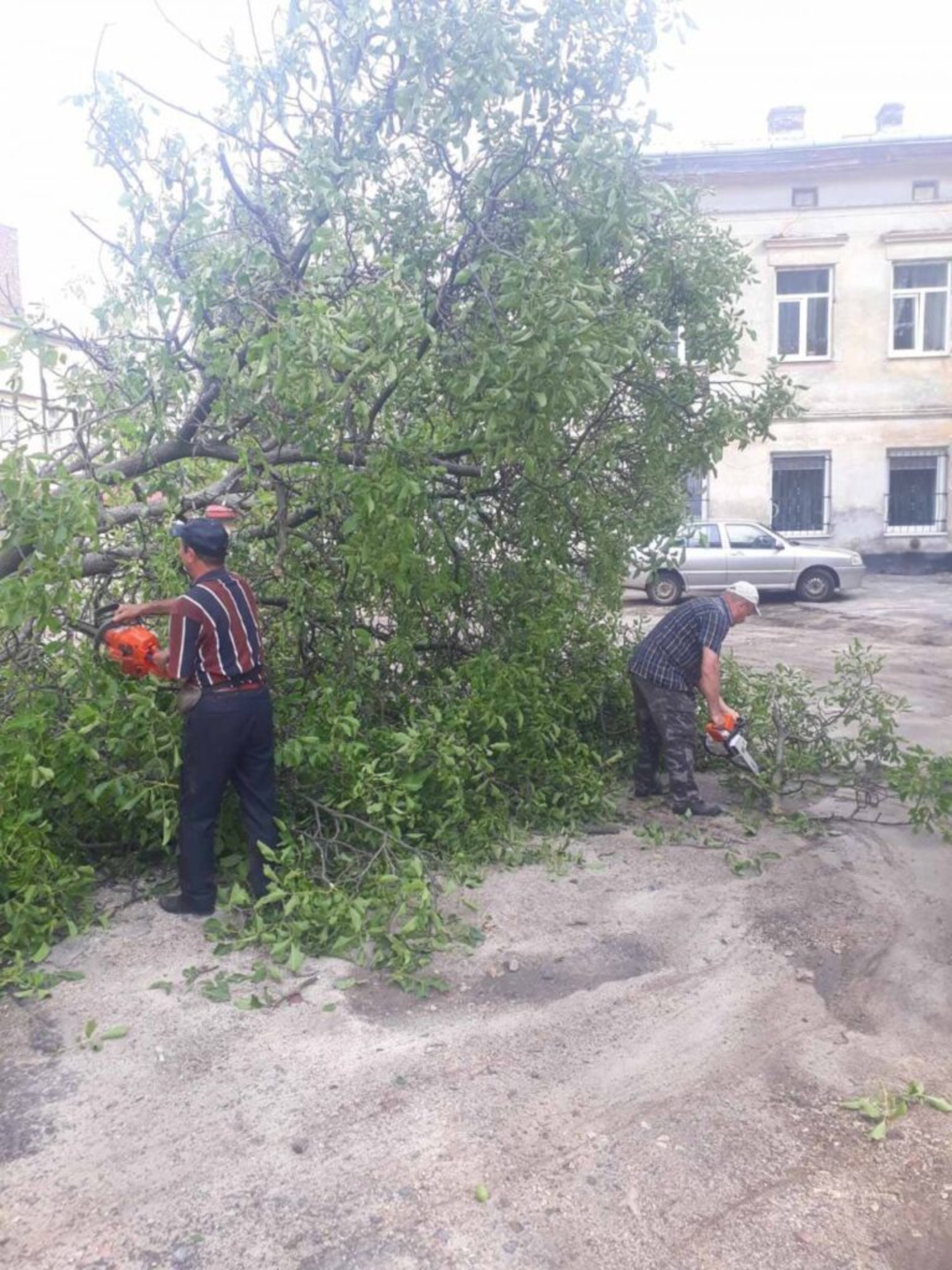 У Львові комунальники продовжують прибирати наслідки негоди, фото ЛМР