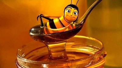 На Львівщині відбудеться фестиваль карпатського меду