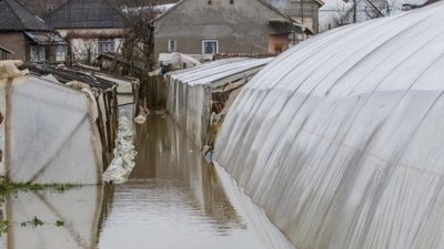 Паводок на Закарпатті: у двох річках уже спадає вода
