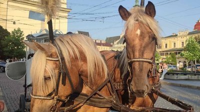 Власники Каретного двору відповіли на хейт у мережі