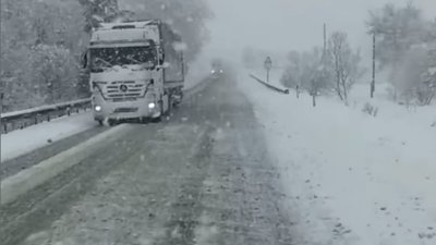 Львівщину знову засипає снігом (ФОТО, ВІДЕО)