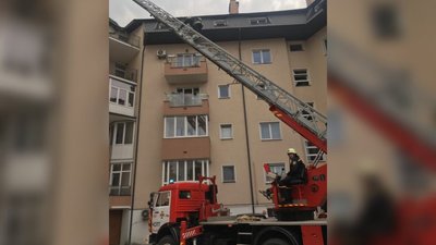 У Львові пройшла спецоперація з порятунку ластівки (ФОТО)