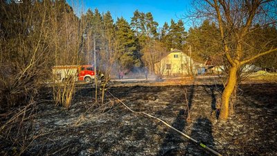 На Львівщині за добу виникло 120 пожеж сухої трави