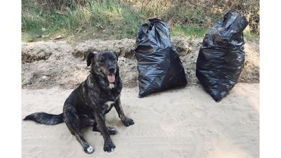 Як на Львівщині засмічують ліси (ФОТОРЕПОРТАЖ)