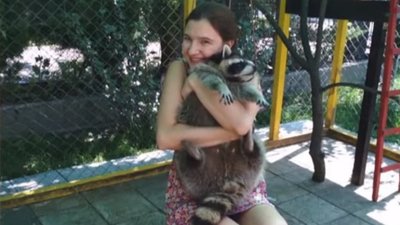 У Львові відкрили Дім єнотів (ВІДЕО)