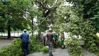 На Львівщині негода знеструмила 123 населені пункти