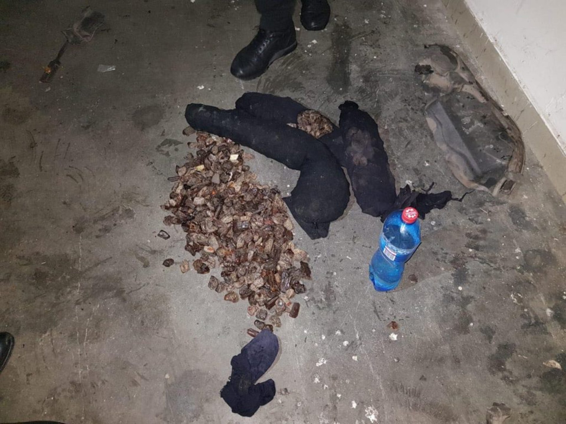 Фото: прес-служба Львівського прикордонного загону