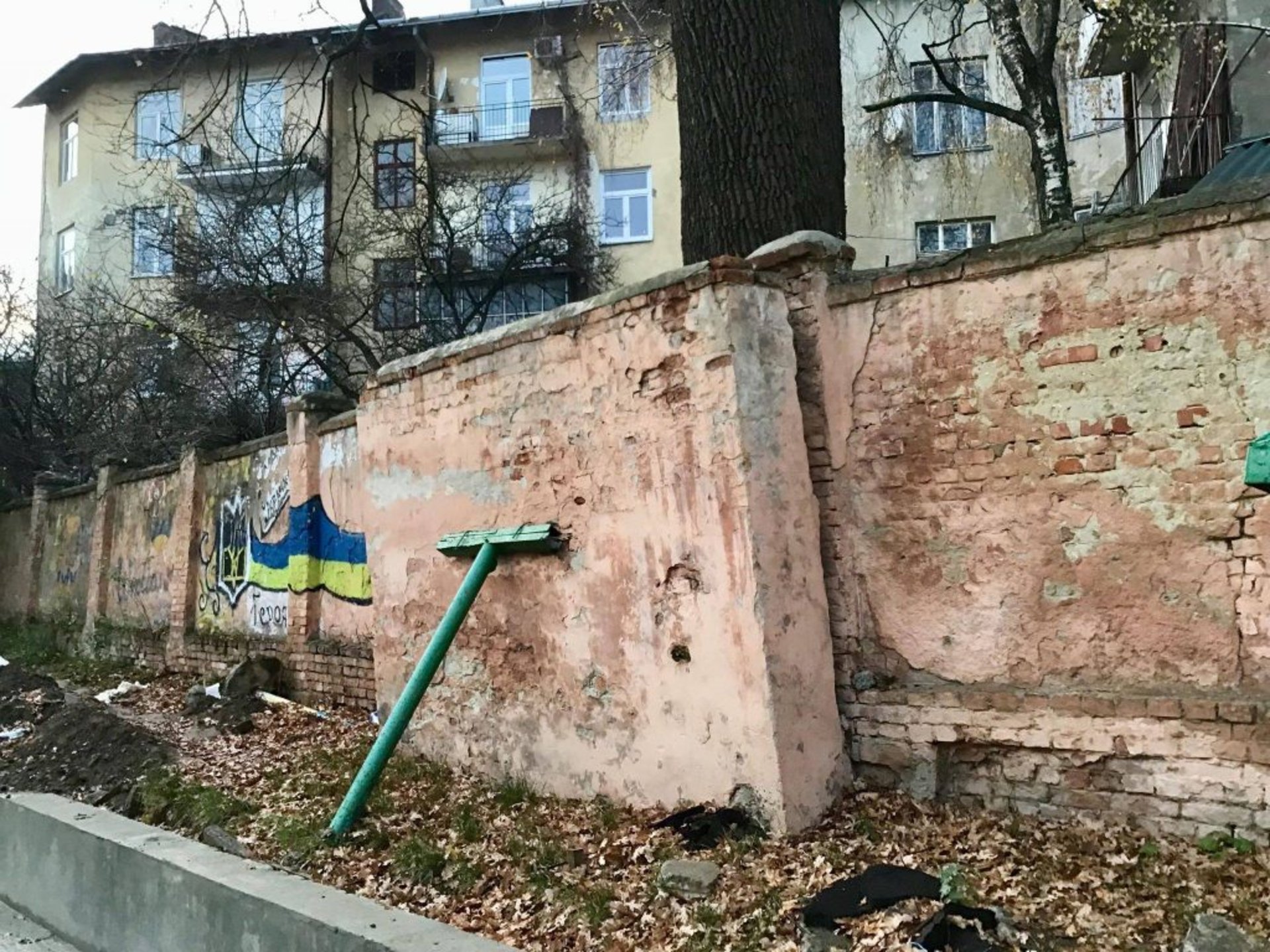 У Львові вимагають зрізати 150-літній дуб