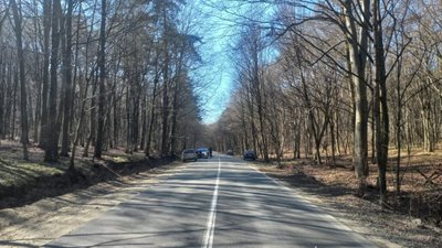 У Львові водій збив 18-річну дівчину