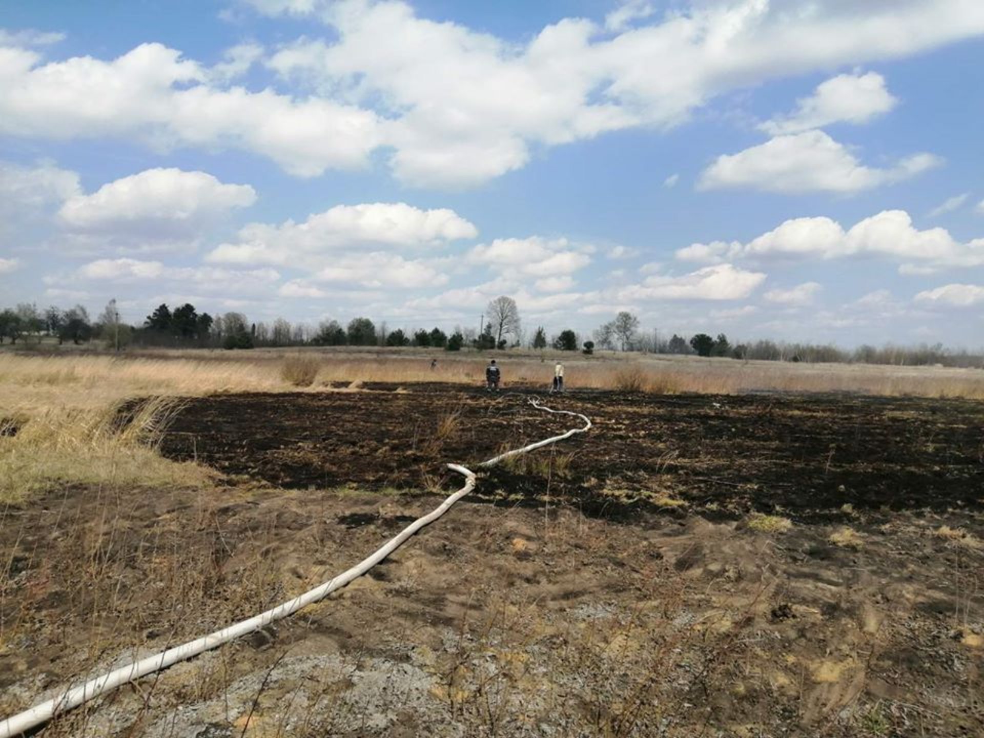 Як на Львівщині горіло торфовище. Фото: ДСНС.