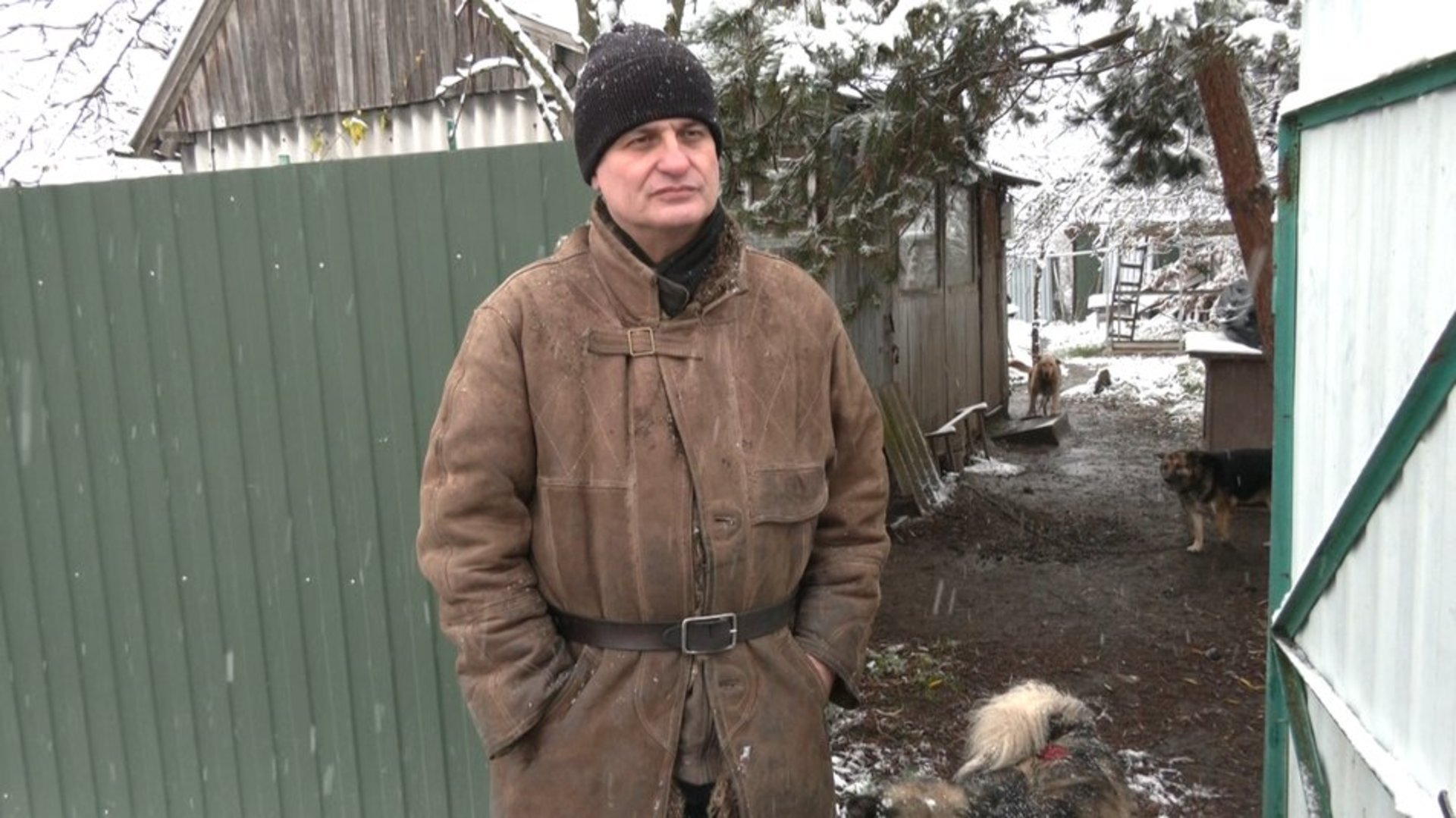На Львівщині притулок для тварин пошкодило вибуховою хвилею