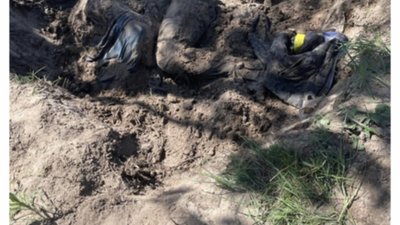 На Київщині продовжують документувати злочини російської армії (ФОТО)